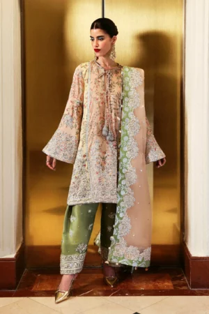 Hussain Rehar Luxury Pret - Reve