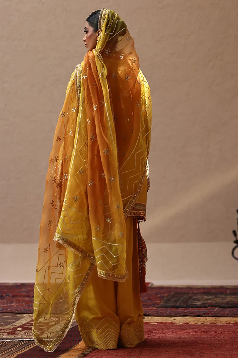 Rozina Munib Lashkara Festive Couture - L25-23