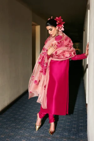 Hussain Rehar Luxury Pret - Fusche