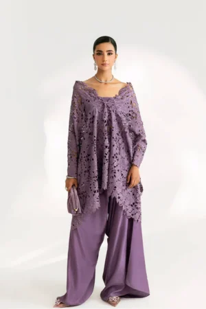 Saira Rizwan Silk Pret 25 - SERAI - SRSP-25-12
