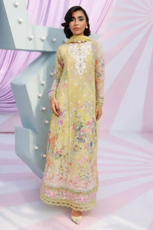 Ansab Jahangir Eid Edit 26 - Wonder