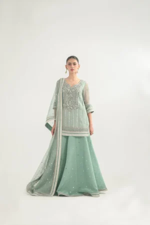 Rizwan Beyg Shahkar - Mahi